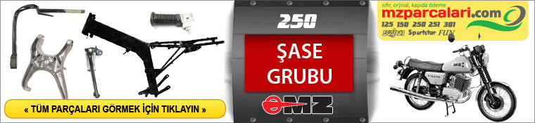 ETZ 250 ŞASE GRUBU